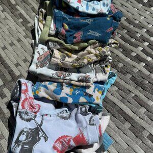 Toddler Boy Boxer Briefs (18 items) | 2T & 3T